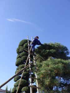 並木造園 株式会社